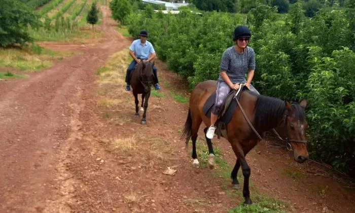 Outride Horseback Experience at Patch of Heaven Equestrian Centre