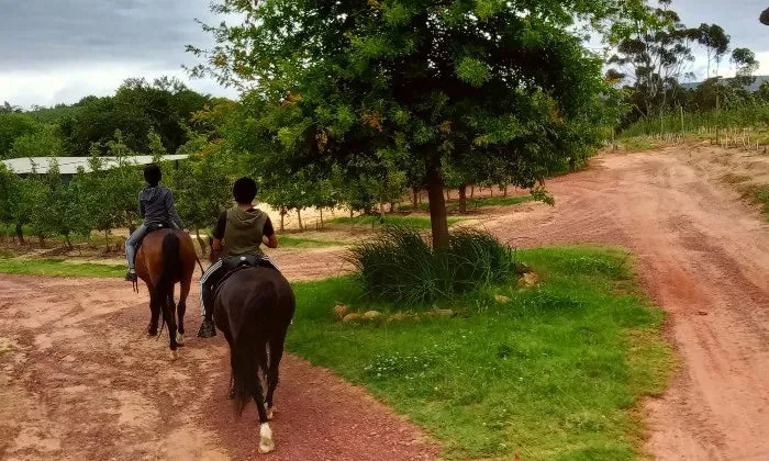 Outride Horseback Experience at Patch of Heaven Equestrian Centre