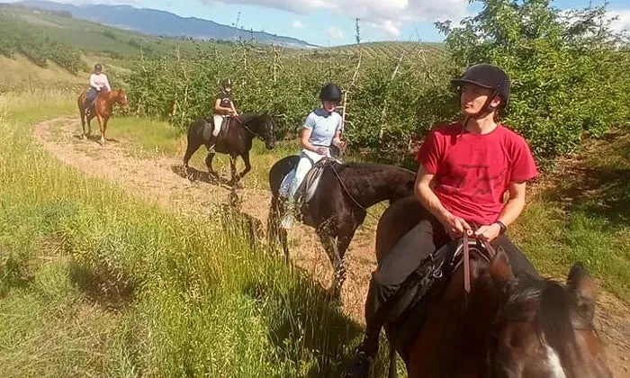 Outride Horseback Experience at Patch of Heaven Equestrian Centre