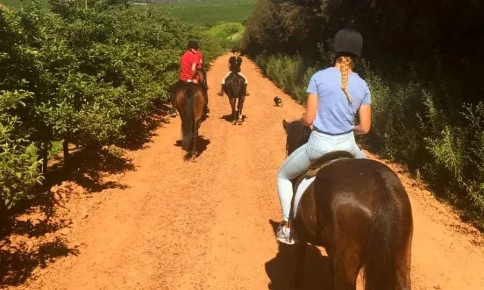 Outride Horseback Experience at Patch of Heaven Equestrian Centre