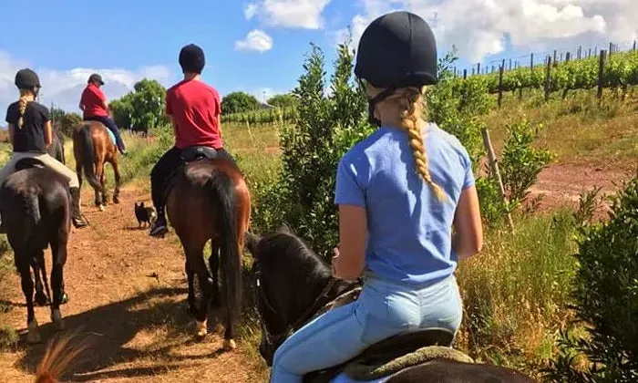 Outride Horseback Experience at Patch of Heaven Equestrian Centre