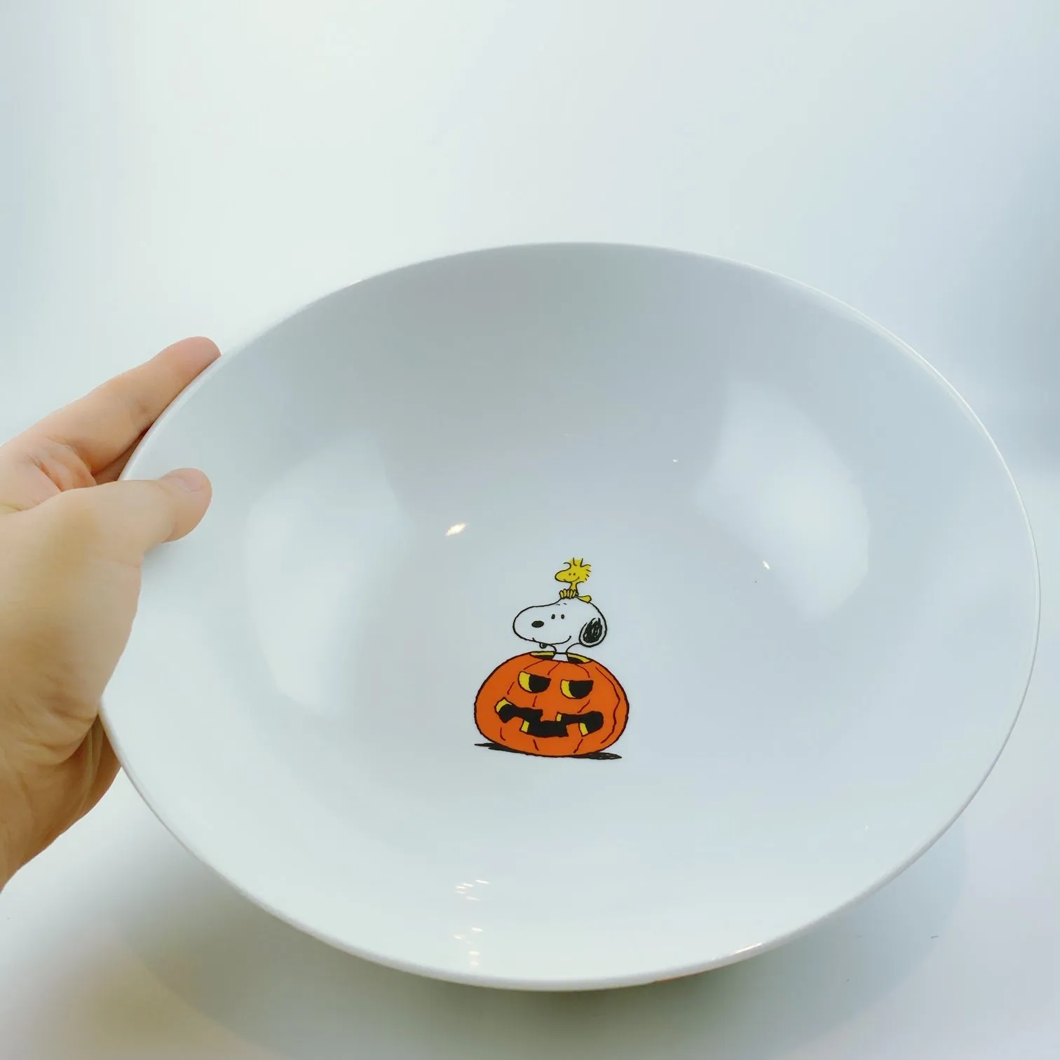 Peanuts Charlie Brown & Friends & Snoopy Great Pumpkin Big Halloween Bowl 10"