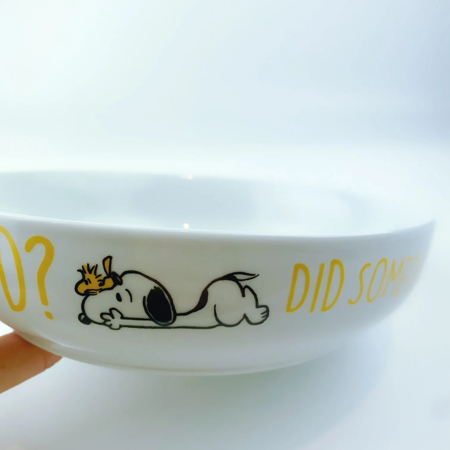 Peanuts Snoopy & Woodstock Prone Dinner Bowl Did Someone Say Food 8.5"