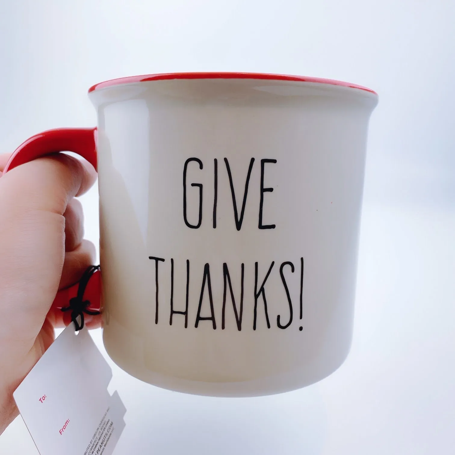 Peanuts Snoopy & Woodstock Thanksgiving 'Give Thanks!'  Large Mug 21 oz Red